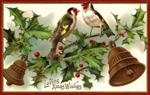 birdholly
