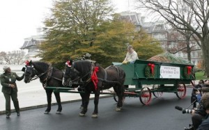christmascarriage
