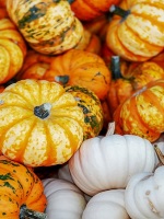 pumpkin-colors
