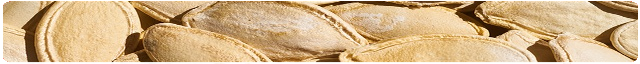 pumpkin-seed-border