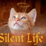 silent-life