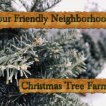 your-friendly-neighborhood-christmas-tree-farm