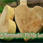 not-romantic-fickle-love
