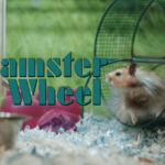 hamster-wheel